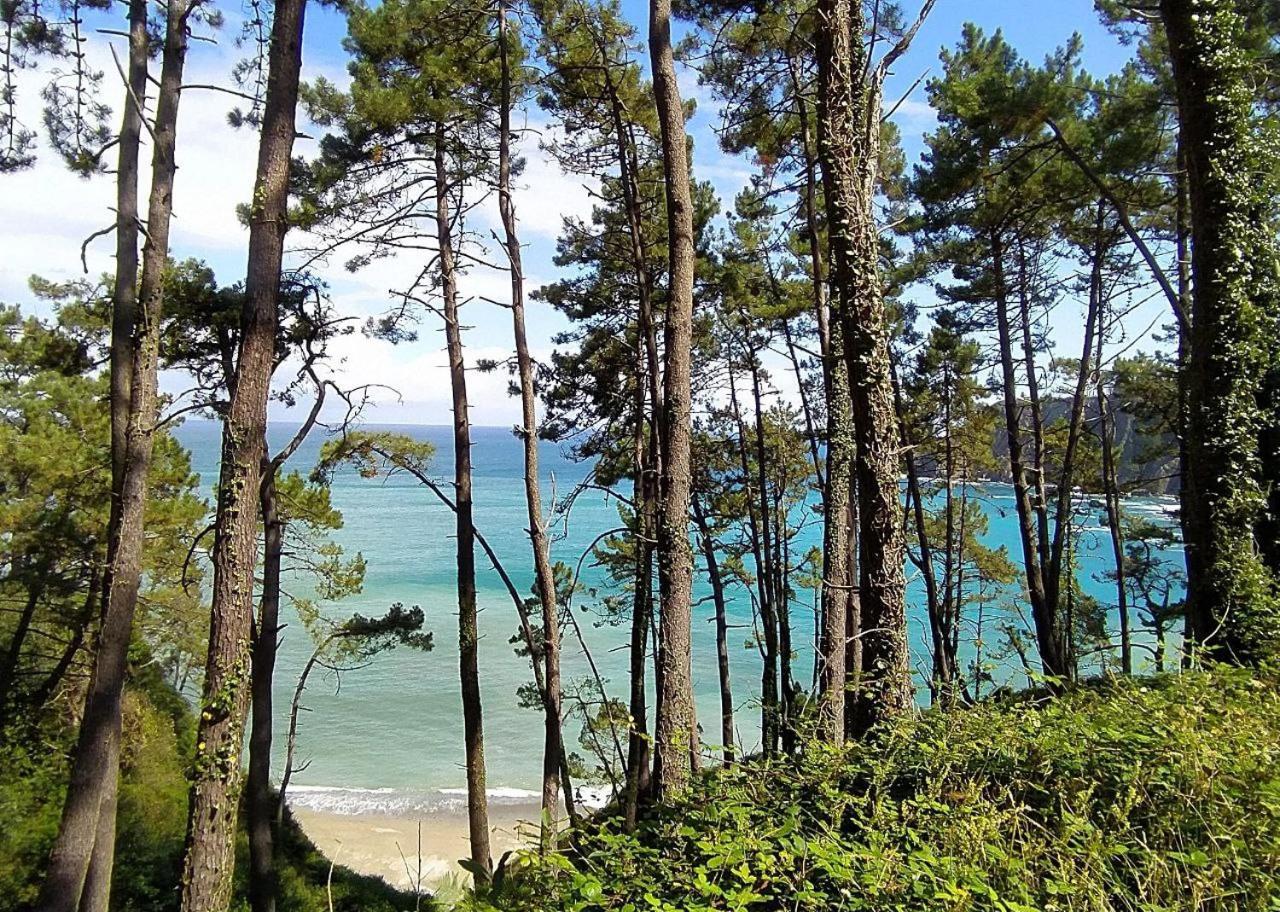 Penzion La Casa De Campo I Lamuno Exteriér fotografie